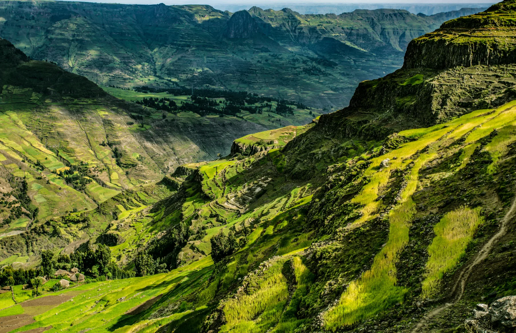 Africa's Enduring Relationship with Fragrance